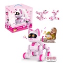 GATO PINK RADIO CONTROL