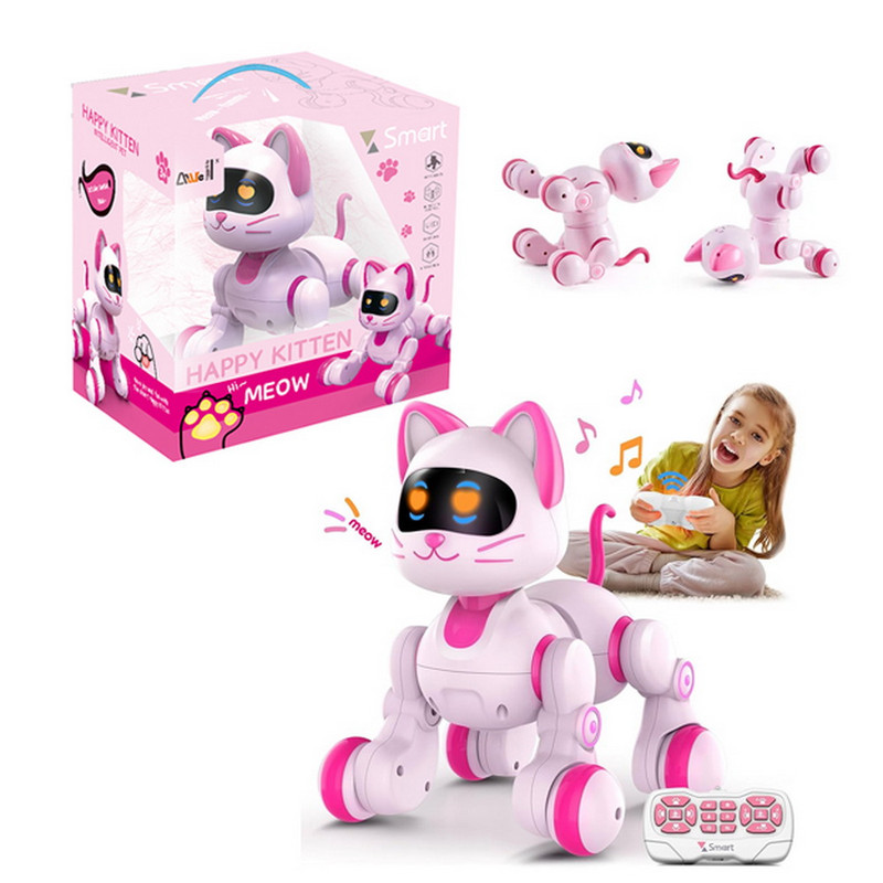 GATO PINK RADIO CONTROL